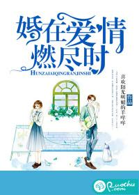 婚在爱情燃尽时短剧免费播放