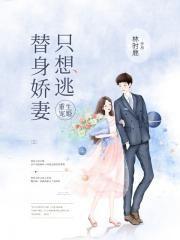 重生替身前妻
