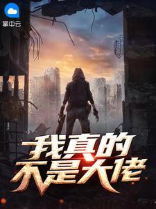 我真不是大佬叶凡