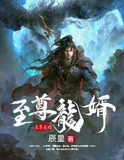 至尊龙婿免费观看