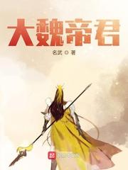大魏帝君动画15集免费观看