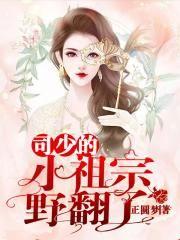 司爷的小祖宗马甲掉了