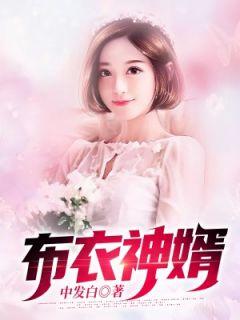 布衣天婿