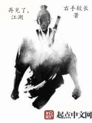 再见了江湖英文翻译