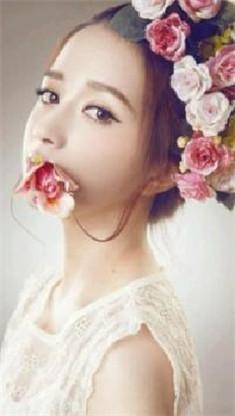 顾景淮顾晴陆笙