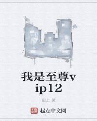 我是至尊动漫免费观看