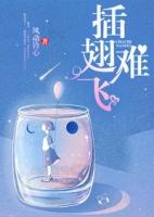 插翅难飞苏念林森讲了什么