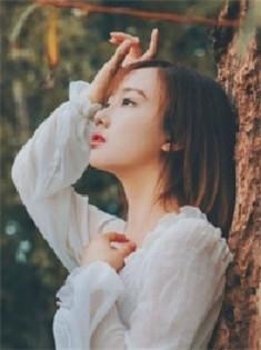 他在云之南经典语句