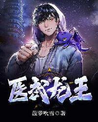 医武龙王全集
