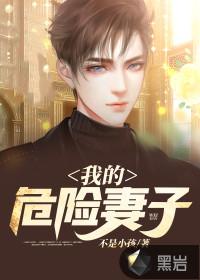 我的危险妻子日剧