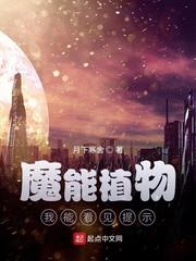 我能看见魔法法则