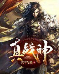 真战神武大郎