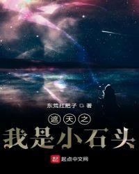 遮天之我是小石头女主有几个
