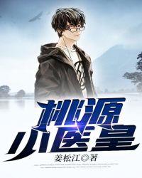 桃源小盲医免费阅读