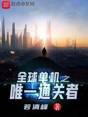 全球单机之唯一通关者TxT
