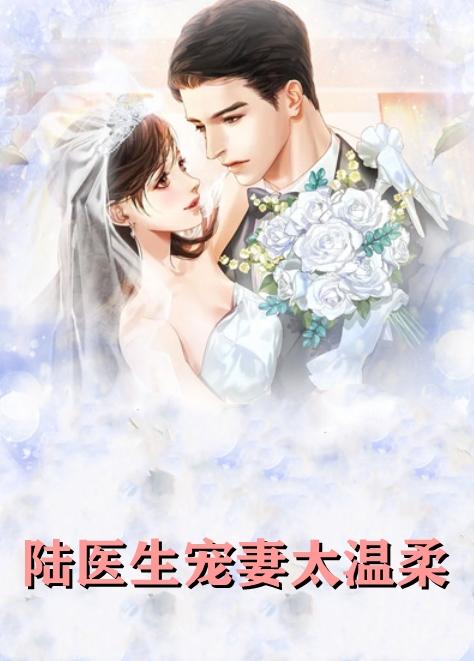 莫暖陆琛
