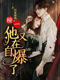 女主叫乔斐男主叫宋砚青