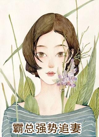 霸总强势追妻全集免费观看