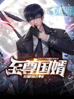 至尊国婿免费