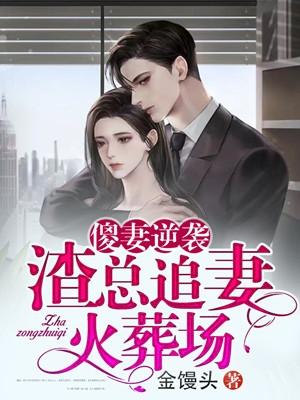 傻妻四集