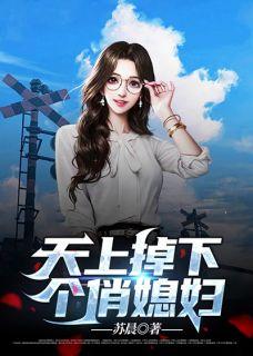 天上掉下个老婆电视剧