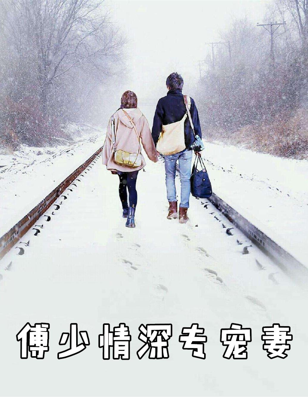 傅少专宠情深不负傅景年