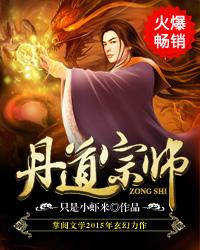 丹道宗师txt精校