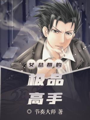 女总裁的极品高手陈斌
