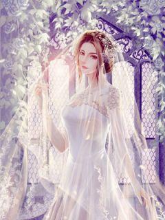 慕先生想要复婚