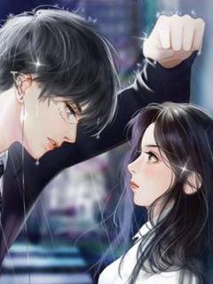 女主叫苏暖男主林北琛