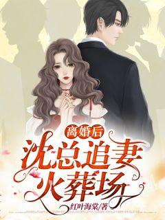 离婚后沈总追妻火葬场结局
