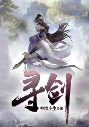 寻剑迷途steam