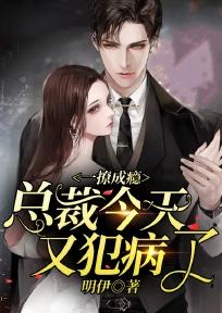 总裁撩一送二免费阅读