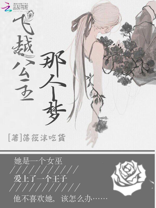 飞公主动画片