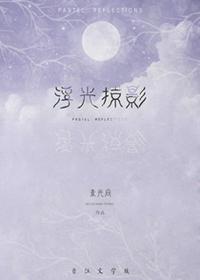 浮光掠影是什么意思啊