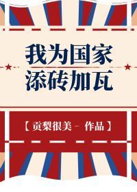 我为国家添砖加瓦男主是谁