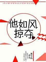 他如风掠夺书评