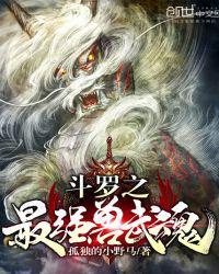 斗罗大陆魂兽怎么玩