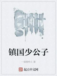 镇国少公子叶子骞