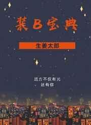 装b宝典TXT百度