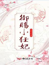御赐小王爷