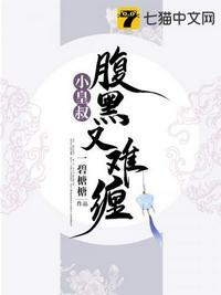 小皇叔腹黑又难缠毒王