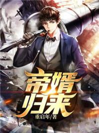 帝婿归来短剧第19集