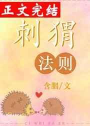 刺猬法则哲学原理