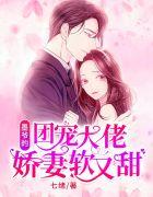 男主角叫温靳辰的