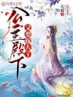 公主殿下不想嫁人那些事儿正版