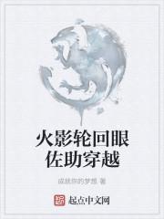 轮回眼佐助哪一集