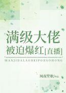 满级大佬免费阅读