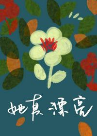 她真漂亮钢琴谱伴奏