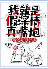 电视剧我就是假的